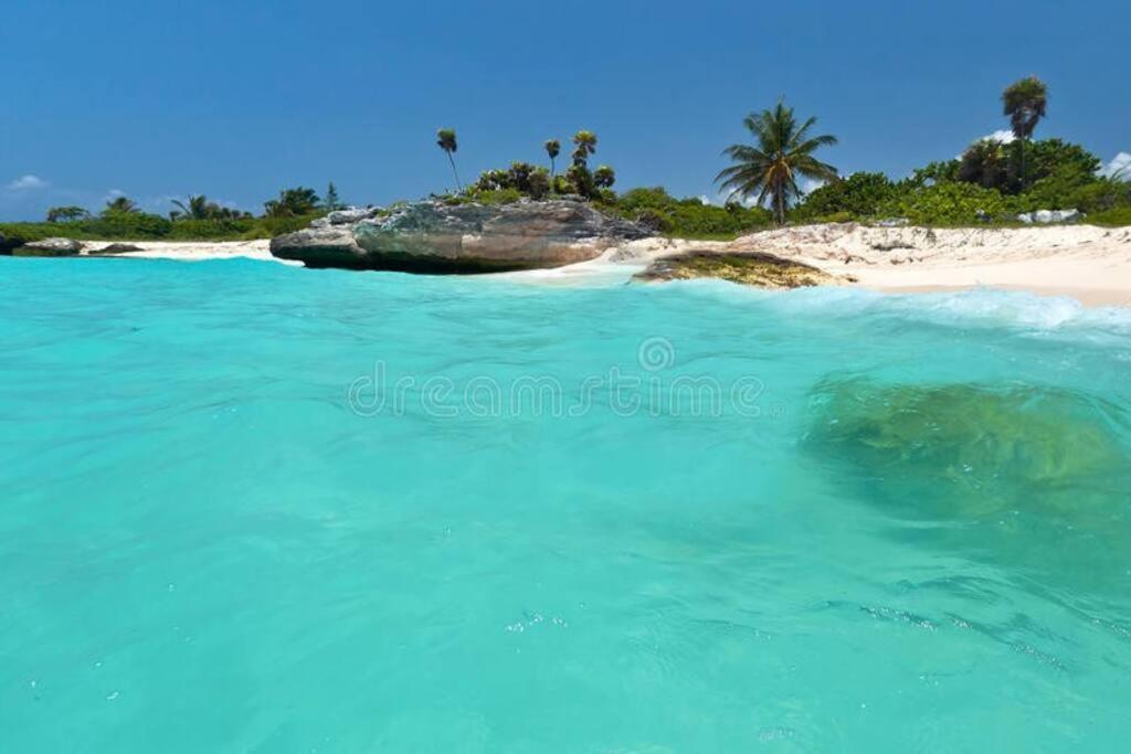 Perfect Location Apartamento