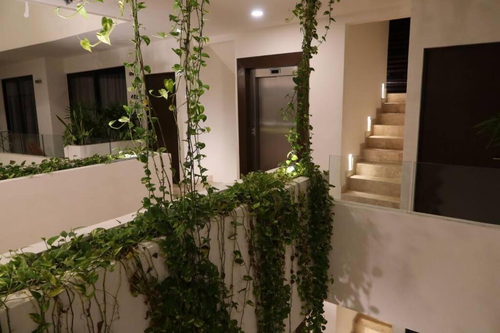 Apartamento Perfect Location Playa del Carmen