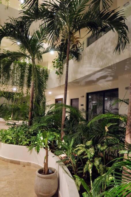 Perfect Location *